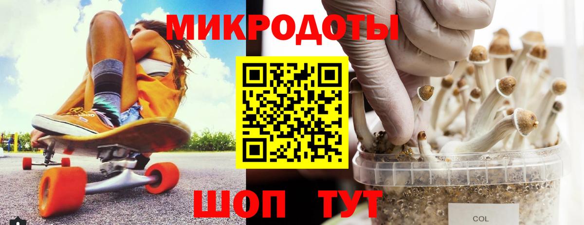 магазин продажи наркотиков  Вход с VPN  Дмитров  Псилоцибиновые грибы Psilocybine cubensis  Галлюциногенные грибы прущие грибы 